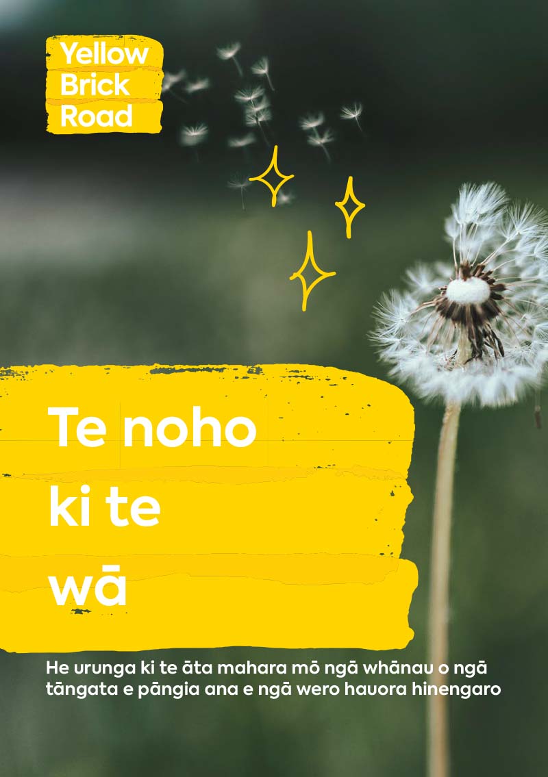 Maori Wellbeing Guides